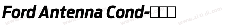 Ford Antenna Cond字体转换